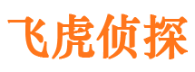 正定市婚外情调查